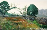 （已售）张立志 布面油画 创作作品60*80cm 树 风景画 村庄